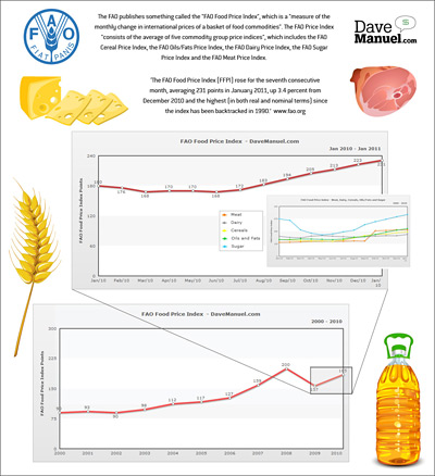 Food Price Index Infographic - Small