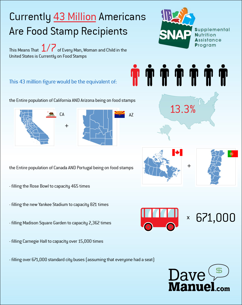 Food Stamp Usage in The United States - SNAP - Supplemental Nutrition Assistance Program - 43 Million Americans are Food Stamp Recipients - Illlustration - Infographic