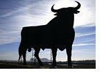 -- tall standing toro - spain --