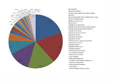 United States Federal Budget - 2010 - Pie Graph Chart