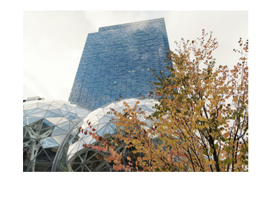 The Amazon company headquarters - Seattle, Washington, United States of America. Frog eye view. Autumn 2017.