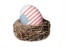 -- nest egg with american flag on it --