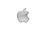 Apple Inc. Company Logo - Gray Colour