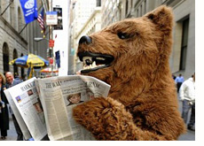 wall street journal - bear reading