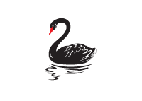 Black Swan - Illustration