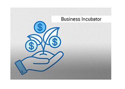 The meaning of the term Business Incubator is explained and illustrated.