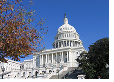 -- capitol hill building on a sunny day --