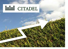 -- Citadel hedge fund on the rise --