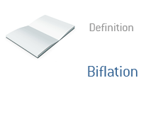 Biflation - Financial term definition
