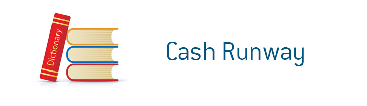 D.M. Financial Dictionary - Cash Runway - What is the meaning of the term?