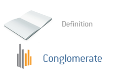 Conglomerate Definition - Finance