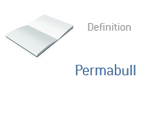 Permabull in the Finance Dictionary - Definition