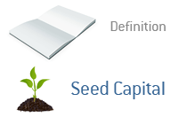 Seed Capital - Definition - Illustration