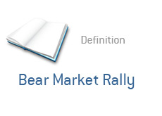 term definition - bear market rally