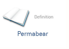 finance term definition - permabear