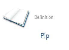 financial term definition pip - points - percentage in point