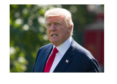 Donald Trump is photographed in front of the White House walking towards Marine One.