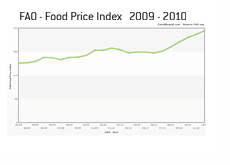 Food Price Index 2009 - 2010 - Graph