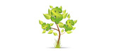 Dollar Tree - Hedge Fund - Illustration