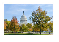 United States Senate Building on a Sunny Autumn Day