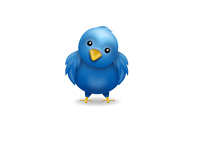 Twitter Bird - Confused - Illustration