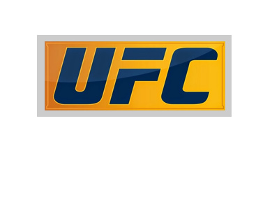 The UFC logo - Blue and yellow version.  Year is 2017.