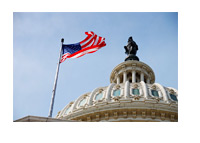 United States Congress - Capitol Hill - Frogs View