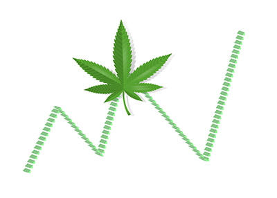 The volatility reigns in the marijuana stock market. The year is 2018.